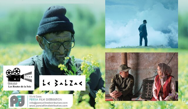 %D9%BE%DB%8C%D8%B1%D9%85%D8%B1%D8%AF%D9%87%D8%A7 %D9%86%D9%85%DB%8C%E2%80%8C%D9%85%DB%8C%D8%B1%D9%86%D8%AF %D8%AF%D8%B1 %D9%BE%D8%A7%D8%B1%DB%8C%D8%B3