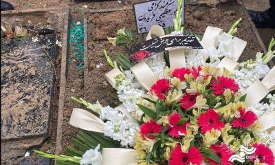 دلنوشتهای برای شاپور عظیمی همزمان با خاکسپاریش