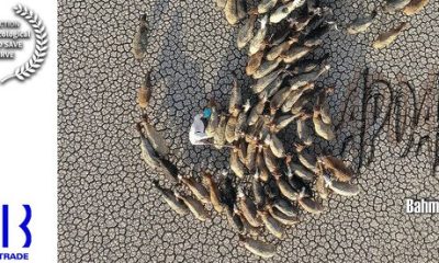 %D9%85%D8%B3%D8%AA%D9%86%D8%AF %D8%B5%D8%AF%D8%A7%D9%88%D8%B3%DB%8C%D9%85%D8%A7 %D8%B1%D8%A7%D9%87%DB%8C %D8%B1%D9%88%D8%B3%DB%8C%D9%87 %D8%B4%D8%AF 400x240