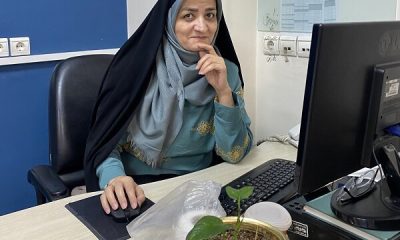 %D9%BE%DB%8C%D8%A7%D9%85 %D8%AA%D8%B3%D9%84%DB%8C%D8%AA %D9%85%D8%AF%DB%8C%D8%B1%D8%B9%D8%A7%D9%85%D9%84 %D9%85%D9%88%D8%B3%D8%B3%D9%87 %D9%81%D8%B1%D9%87%D9%86%DA%AF%DB%8C %D9%85%D8%B7%D8%A8%D9%88%D8%B9%D8%A7%D8%AA%DB%8C %D8%A7%DB%8C%D8%B1%D8%A7%D9%86 %D8%AF%D8%B1 %D9%BE%DB%8C %D8%AF%D8%B1%DA%AF%D8%B0%D8%B4%D8%AA 400x240