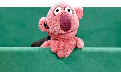 %D8%AC%D9%86%D8%A7%D8%A8 %D8%AE%D8%A7%D9%86 %D9%86%D8%B4%D8%A7%D9%86 %D8%AF%D8%A7%D8%AF %D8%B9%D8%B1%D9%88%D8%B3%DA%A9%E2%80%8C%D9%87%D8%A7 %D8%AA%D8%A7 %DA%86%D9%87 %D8%AD%D8%AF %D9%85%D9%87%D9%85%E2%80%8C %D9%88 400x240