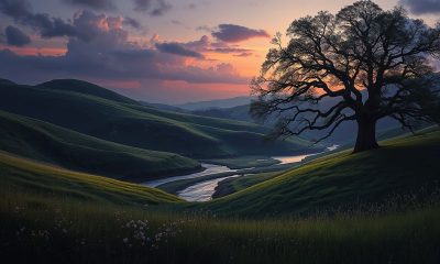 1755747128004 400x240