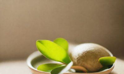 1761968075466 400x240