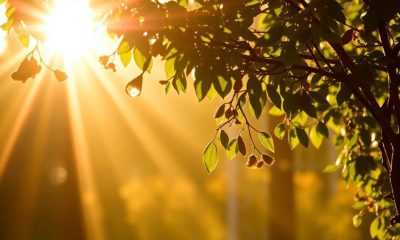 1762144723229 400x240