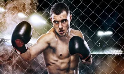Boxer