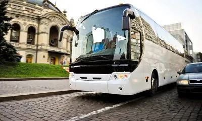 White Bus