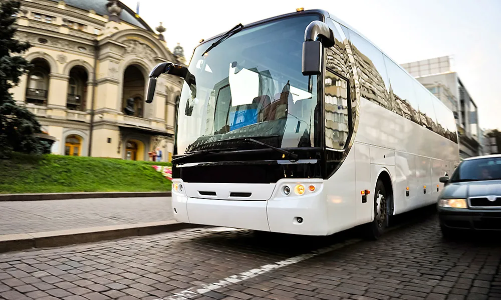 White Bus