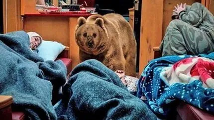 اما و اگرهای استفاده از حیوانات در سریال‌ها پایتخت ۷