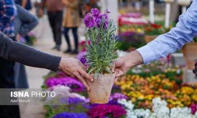 بشنوید عشق باران ماه مرداد است