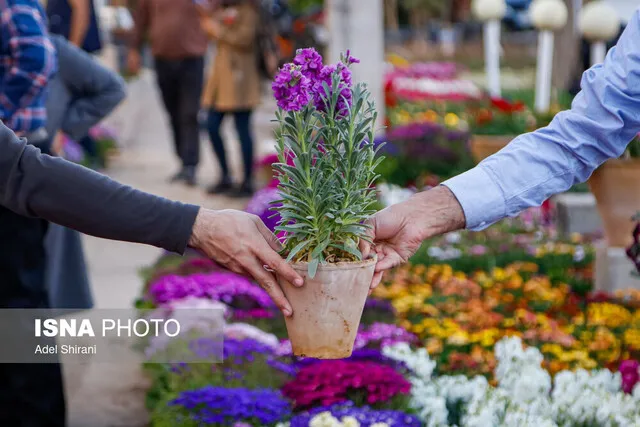 بشنوید عشق باران ماه مرداد است