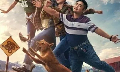 داماد پردردسر در تلویزیون