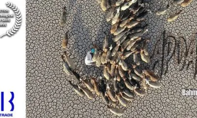 مستند صداوسیما راهی روسیه شد