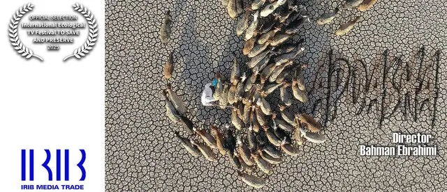 مستند صداوسیما راهی روسیه شد