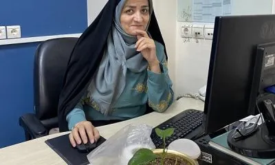 پیام تسلیت مدیرعامل موسسه فرهنگی مطبوعاتی ایران در پی درگذشت