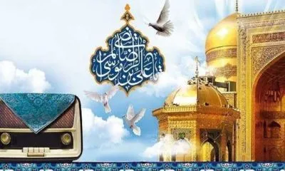 امیرحسین مدرس از زائران امام رضا ع می‌گوید