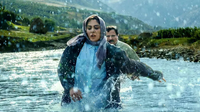 در آغوش درخت در اکران آنلاین