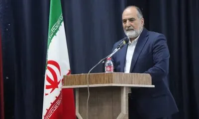 رونق سینمای محلی، گسترش سرمایه فرهنگی