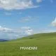 1759541521193