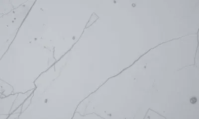 1760488329205